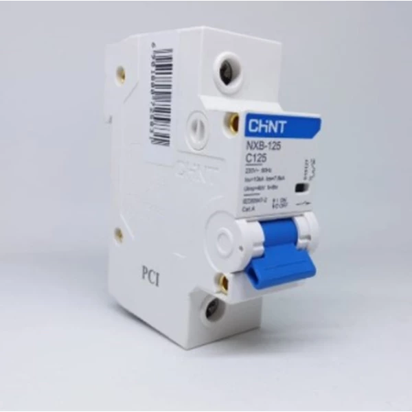 MCB / Miniature Circuit Breaker Chint NXB - 125 1P 125A 10 kA