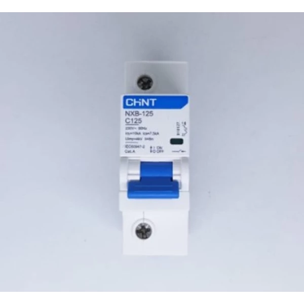 MCB / Miniature Circuit Breaker Chint NXB - 125 1P 125A 10 kA