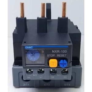 Thermal Overload Relay Chint NXR-100